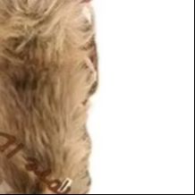 รองเท้าบูทส้นสูงแบบกลาดิเอเตอร - Embroidery Yes บทวิจารณ์และราคา